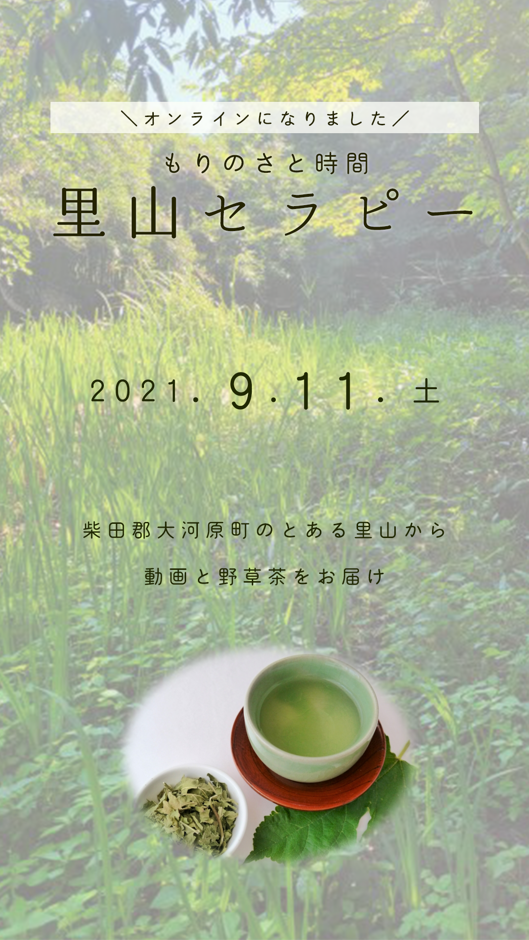 【終了しました】もりのさと時間　里山セラピー＊9月11日(土)大河原町のとある里山から「動画配信+野草茶をお届け」に変更になりました。